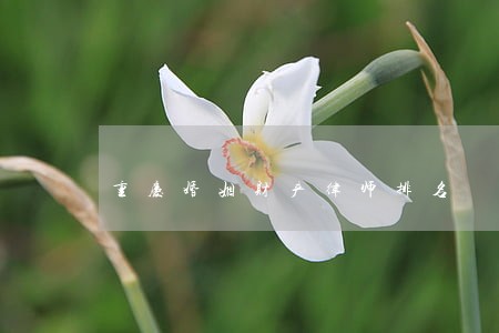 重庆婚姻财产律师排名 重庆婚姻财产律师排名