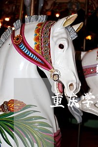 重庆学校违法找谁举报 重庆学校违法找谁举报