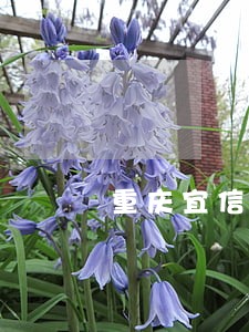 重庆宜信普惠逾期正确处理方案