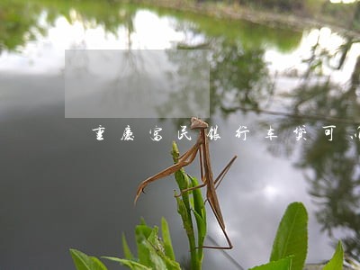 重庆富民银行车贷可以逾期多久 重庆富民银行车贷可以逾期多久