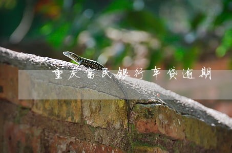 重庆富民银行车贷逾期 重庆富民银行车贷逾期