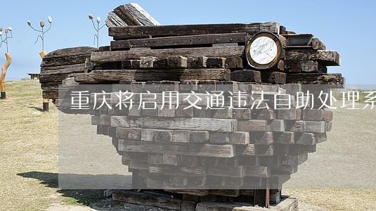重庆将启用交通违法自助处理系统 重庆将启用交通违法自助处理系统