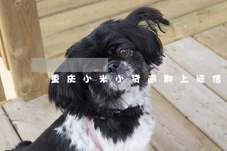 重庆小米小贷逾期上征信吗 重庆小米小贷逾期上征信吗