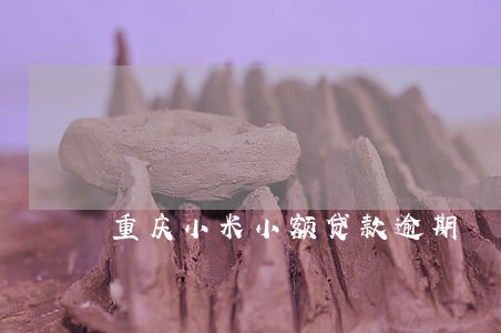 重庆小米小额贷款逾期 重庆小米小额贷款逾期