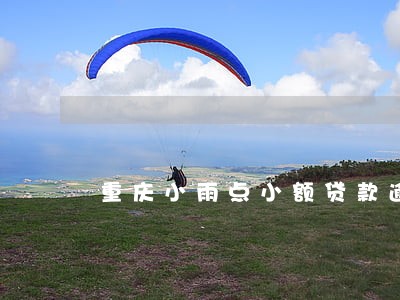 重庆小雨点小额贷款逾期 重庆小雨点小额贷款逾期