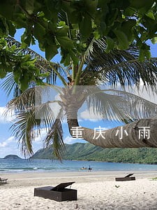 重庆小雨点逾期费 重庆小雨点逾期费