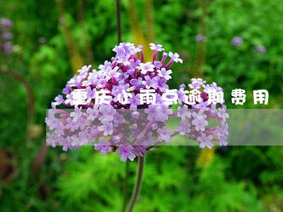 重庆小雨点逾期费用 重庆小雨点逾期费用