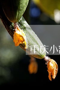 重庆小额贷逾期半年如何消除 重庆小额贷逾期半年如何消除