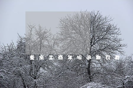重庆工商年报逾期罚款 重庆工商年报逾期罚款