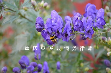 重庆巫溪县债务律师