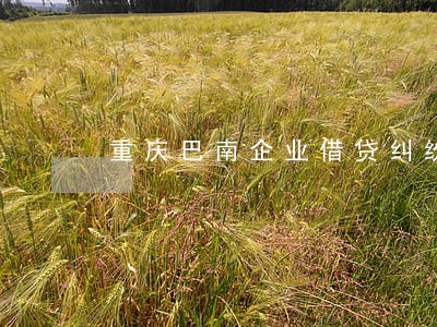 重庆巴南企业借贷纠纷律师价格 重庆巴南企业借贷纠纷律师价格