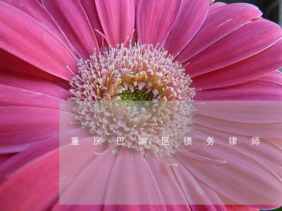 重庆巴南区债务律师 重庆巴南区债务律师