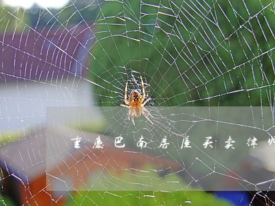 重庆巴南房屋买卖律师 重庆巴南房屋买卖律师