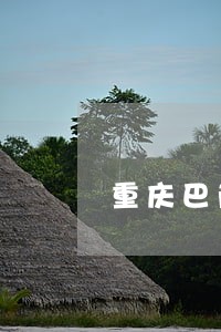 重庆巴南离婚官司律师如何委托 重庆巴南离婚官司律师如何委托