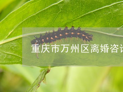 重庆市万州区离婚咨询律师找谁