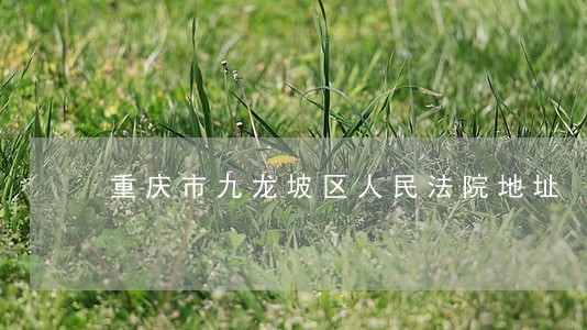 重庆市九龙坡区人民法院地址