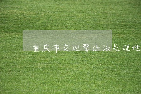 重庆市交巡警违法处理地方