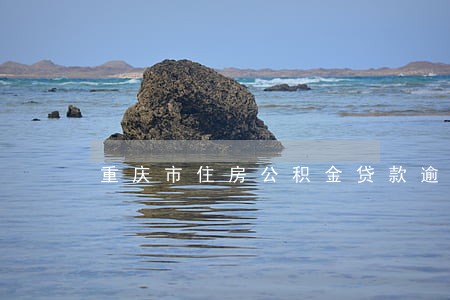 重庆市住房公积金贷款逾期 重庆市住房公积金贷款逾期