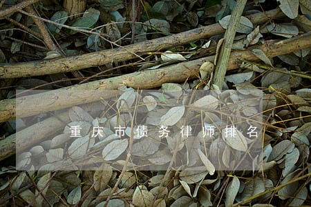 重庆市债务律师排名 重庆市债务律师排名