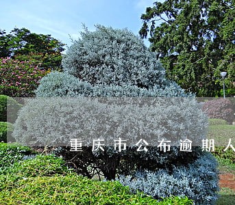 重庆市公布逾期人员名单 重庆市公布逾期人员名单