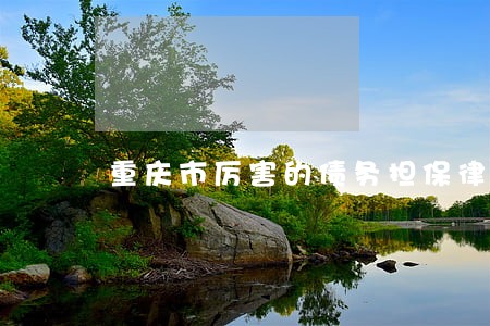 重庆市厉害的债务担保律师 重庆市厉害的债务担保律师