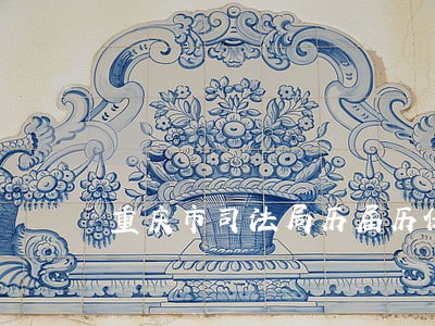 重庆市司法局历届历任副局长