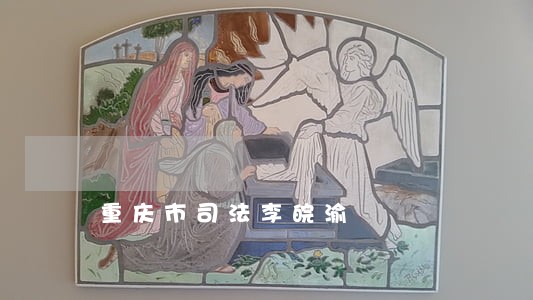 重庆市司法李皖渝 重庆市司法李皖渝