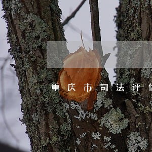 重庆市司法评估人员名单 重庆市司法评估人员名单