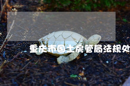 重庆市国土房管局法规处在哪里 重庆市国土房管局法规处在哪里