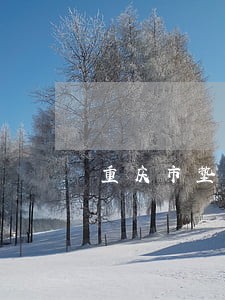 重庆市垫江县法院电话是多少 重庆市垫江县法院电话是多少