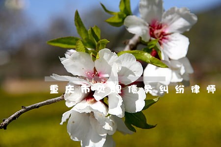 重庆市处理债务纠纷律师 重庆市处理债务纠纷律师