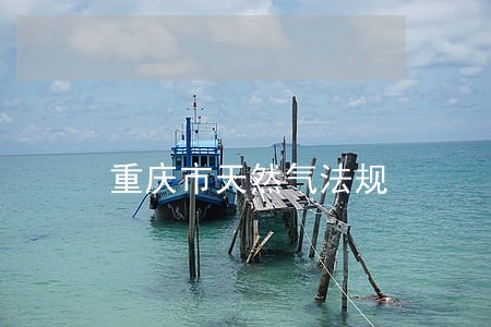 重庆市天然气法规 重庆市天然气法规