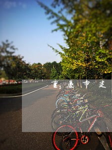 重庆市建设工程安全管理法规 重庆市建设工程安全管理法规