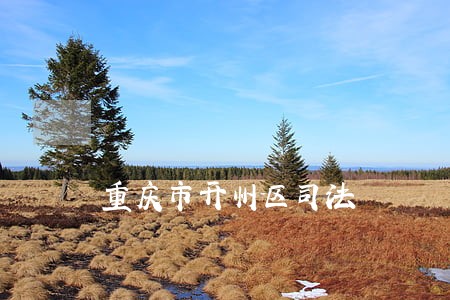 重庆市开州区司法 重庆市开州区司法