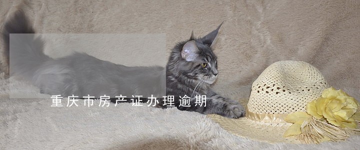 重庆市房产证办理逾期 重庆市房产证办理逾期