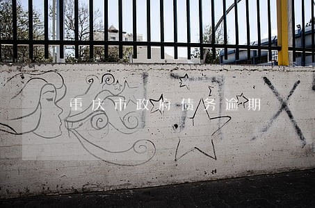 重庆市政府债务逾期 重庆市政府债务逾期