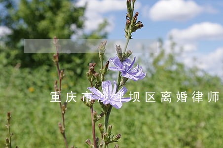 重庆市沙坪坝区离婚律师 重庆市沙坪坝区离婚律师
