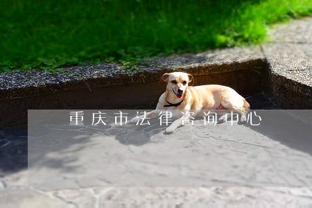 重庆市法律咨询中心 重庆市法律咨询中心