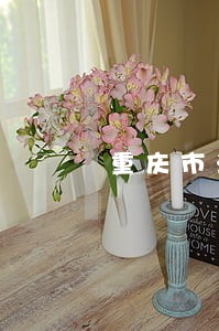 重庆市法律顾问合同范本 重庆市法律顾问合同范本