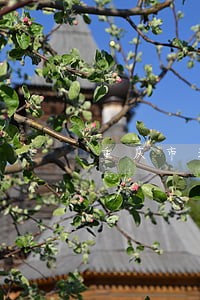 重庆市法院对虞海燕的处理结果