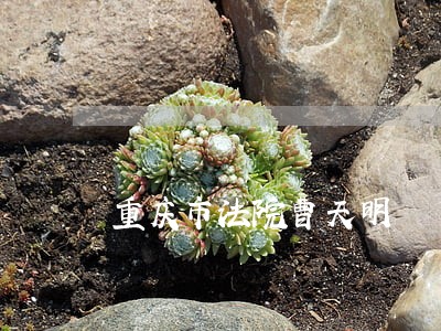 重庆市法院曹天明 重庆市法院曹天明