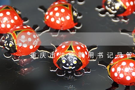 重庆市法院聘用书记员管理办法 重庆市法院聘用书记员管理办法