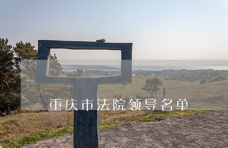 重庆市法院领导名单 重庆市法院领导名单
