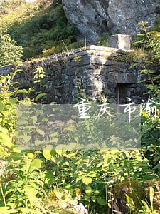重庆市渝中区法院执行局