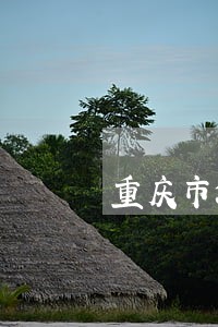 重庆市渝北区刑事案律师免费咨询 重庆市渝北区刑事案律师免费咨询