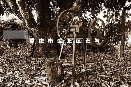 重庆市渝北区天气 重庆市渝北区天气