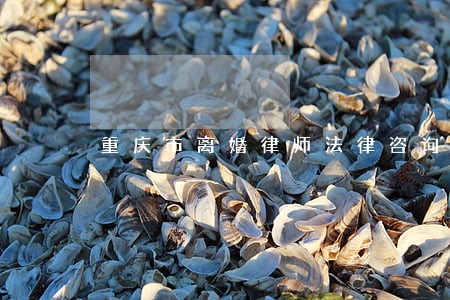 重庆市离婚律师法律咨询 重庆市离婚律师法律咨询