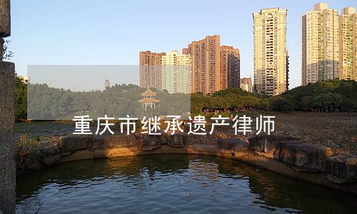 重庆市继承遗产律师