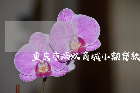 重庆市蚂蚁商城小额贷款逾期 重庆市蚂蚁商城小额贷款逾期