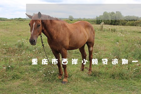 重庆市西岸小额贷逾期一天